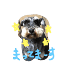可愛い動物達シリーズ（個別スタンプ：3）