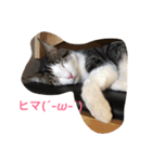 可愛い動物達シリーズ（個別スタンプ：4）