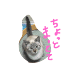 可愛い動物達シリーズ（個別スタンプ：6）