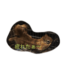 可愛い動物達シリーズ（個別スタンプ：7）
