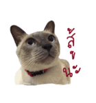 Se-ma（個別スタンプ：13）