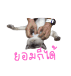 Se-ma（個別スタンプ：24）