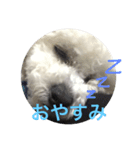 モコモコスタンプ（個別スタンプ：1）
