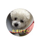 モコモコスタンプ（個別スタンプ：2）