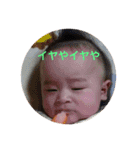 ちゅんちゅん丸（個別スタンプ：5）