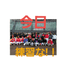 可愛いバーニーズ＆ゴールデン（個別スタンプ：4）