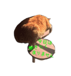 ろくしー（個別スタンプ：2）
