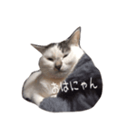 ろくしー（個別スタンプ：7）