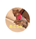 よーきー（個別スタンプ：6）