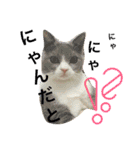 石村さん。（個別スタンプ：5）