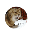 うさぎのももちゃん その②（個別スタンプ：14）