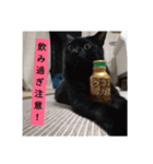 うさぎのももちゃん その②（個別スタンプ：15）