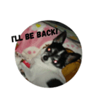 ピース ＆ さくら（個別スタンプ：3）
