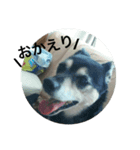 ピース ＆ さくら（個別スタンプ：6）