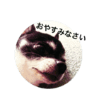 ピース ＆ さくら（個別スタンプ：7）