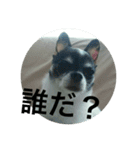 ピース ＆ さくら（個別スタンプ：9）
