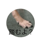 ピース ＆ さくら（個別スタンプ：14）