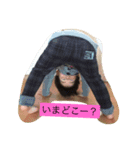 家族のやりとりスタンプ（個別スタンプ：4）
