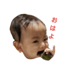 kyo-stamp（個別スタンプ：6）
