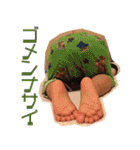 JUNI01（個別スタンプ：33）