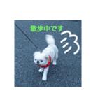 ばぁちゃん☆（個別スタンプ：10）