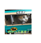 らてぼうとまろん1（個別スタンプ：6）