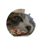 らてぼうとまろん1（個別スタンプ：7）
