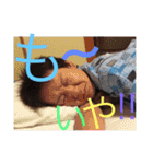 さんまLETS 5 vo.2（個別スタンプ：10）