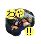 さんまLETS 5 vo.2（個別スタンプ：18）
