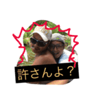 さんまLETS 5 vo.2（個別スタンプ：20）