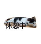 我が家のはなにゃん（個別スタンプ：10）