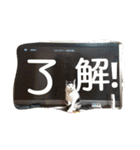 我が家のはなにゃん（個別スタンプ：18）