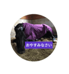 aura*u-than（個別スタンプ：4）
