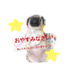 パグのむーちゃん（個別スタンプ：7）