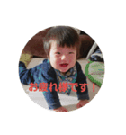 春之介270（個別スタンプ：8）