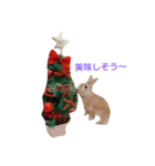 まもちゃんのクリスマスとお正月（個別スタンプ：2）