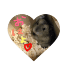 獅子丸♡（個別スタンプ：5）
