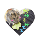 獅子丸♡（個別スタンプ：13）