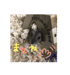 獅子丸♡（個別スタンプ：16）