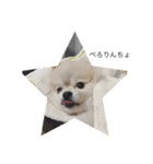 Leon's daily stamp（個別スタンプ：2）