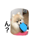 Leon's daily stamp（個別スタンプ：4）