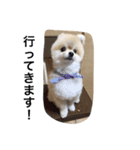 Leon's daily stamp（個別スタンプ：5）