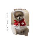 Leon's daily stamp（個別スタンプ：15）