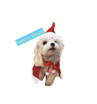 学内犬（個別スタンプ：1）