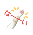 ねこの小言〜ず  ②（個別スタンプ：8）