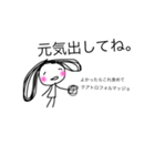 いつものヨコちゃん。（個別スタンプ：6）