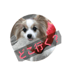 中岡家（個別スタンプ：1）