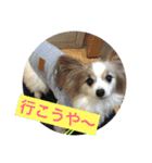 中岡家（個別スタンプ：10）