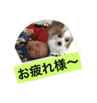 中岡家（個別スタンプ：19）