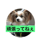 中岡家（個別スタンプ：21）
